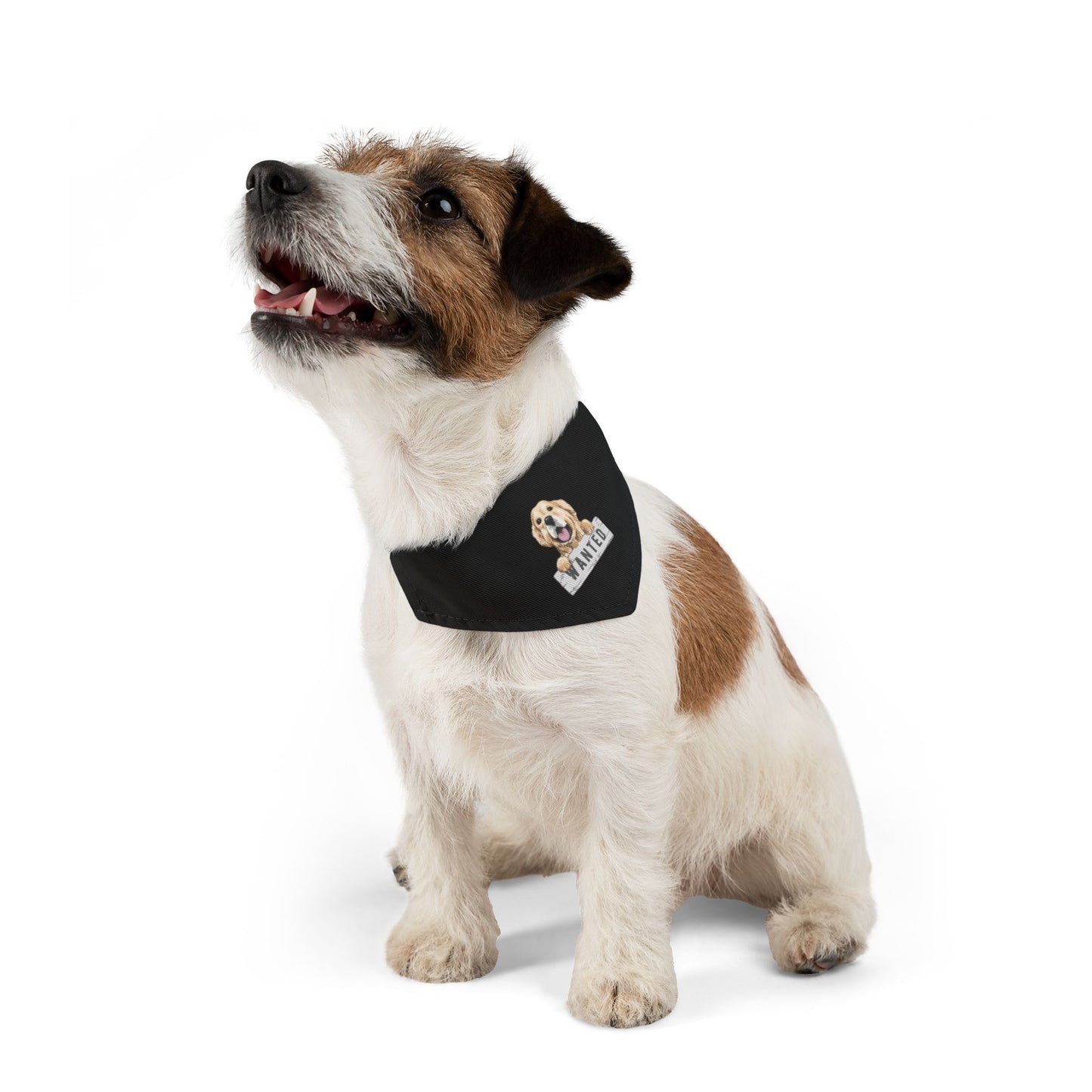 Adorable Pet Bandana Collar