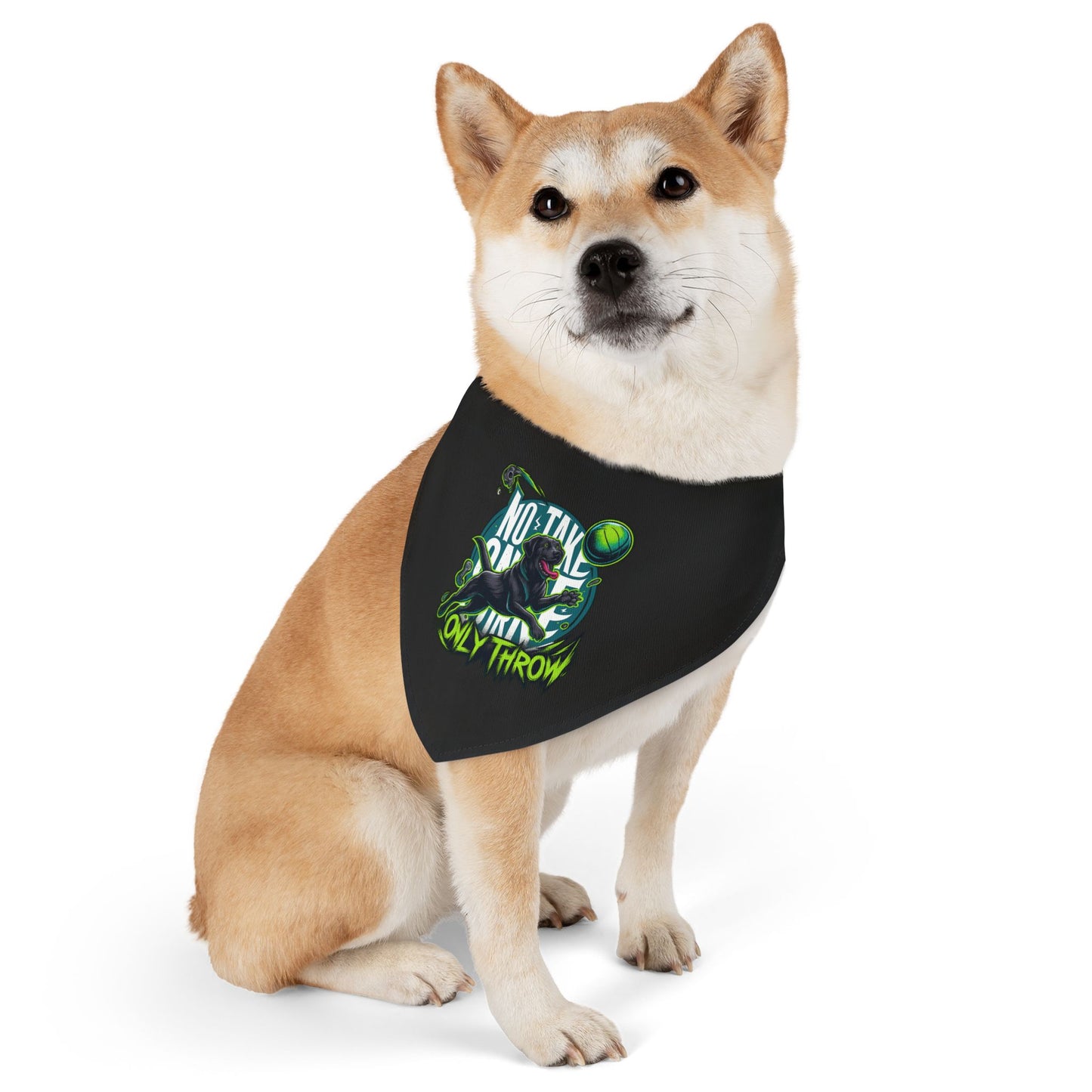 Cool Pet Bandana Collar