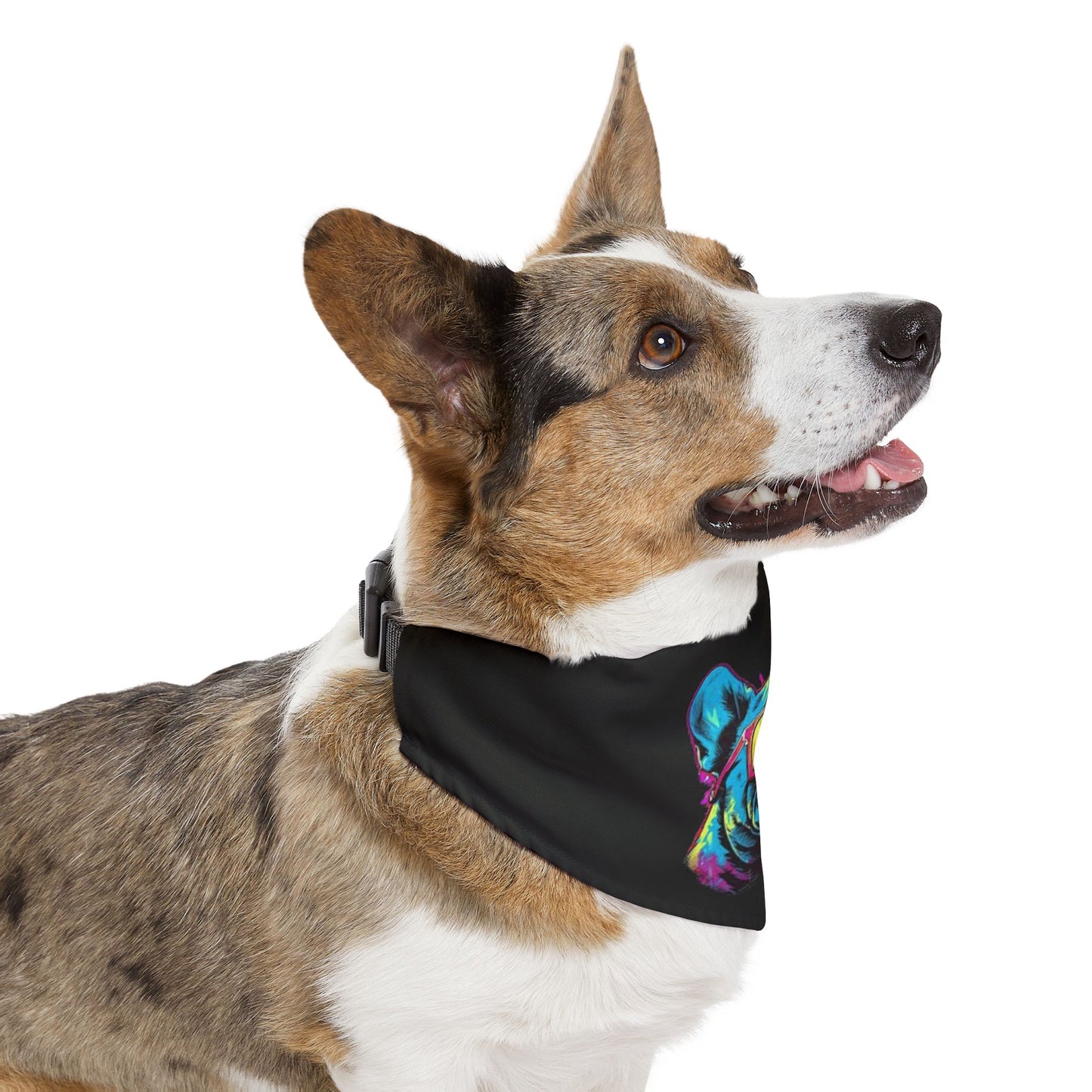 Colorful Pet Bandana Collar