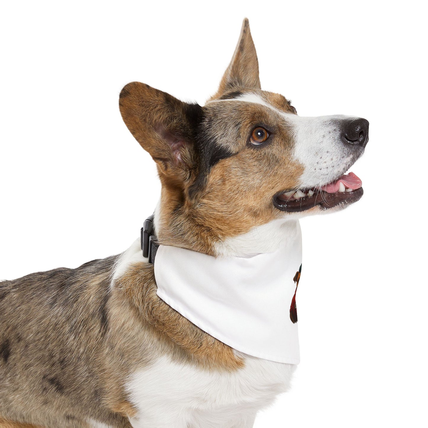 Stylish Pet Bandana Collar