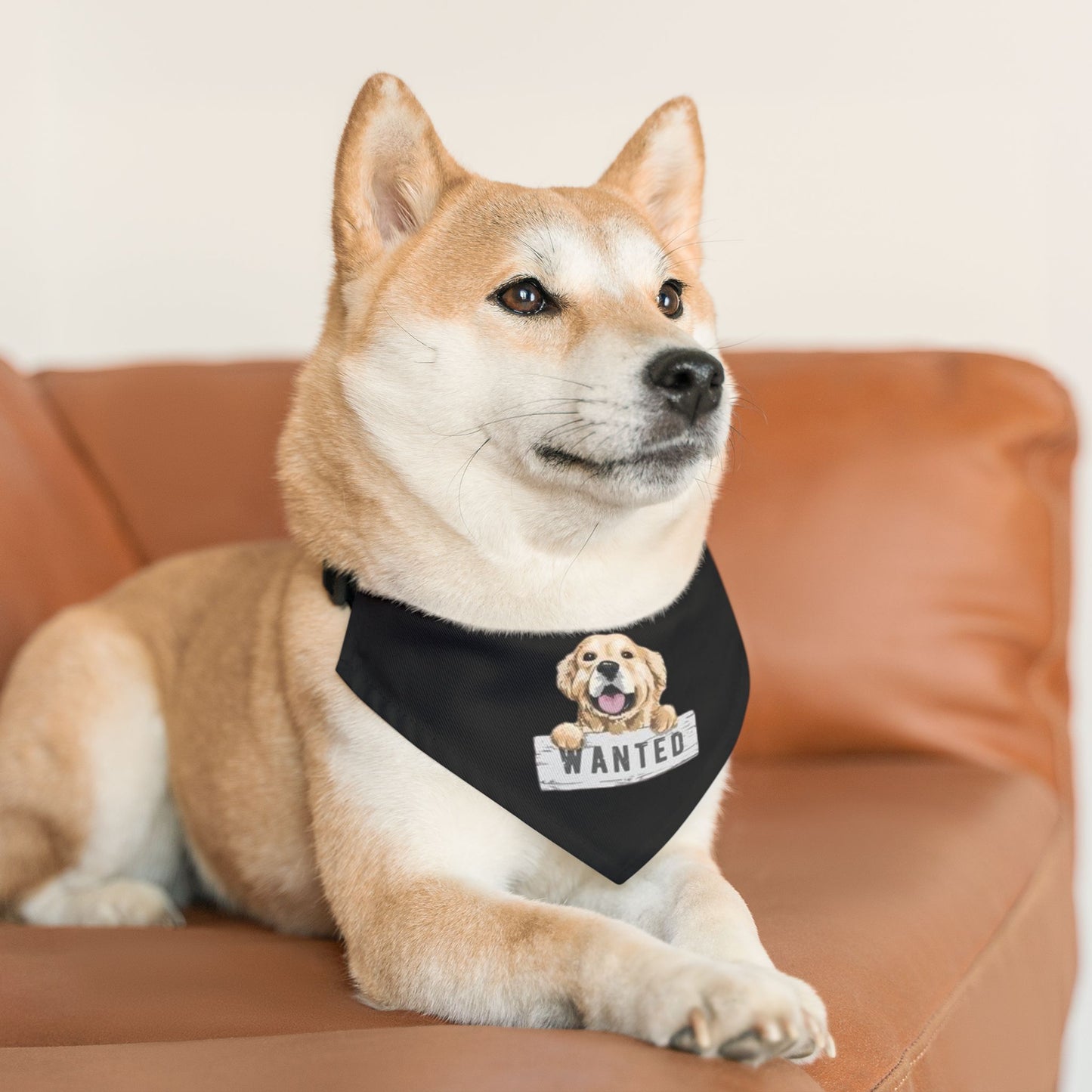 Adorable Pet Bandana Collar