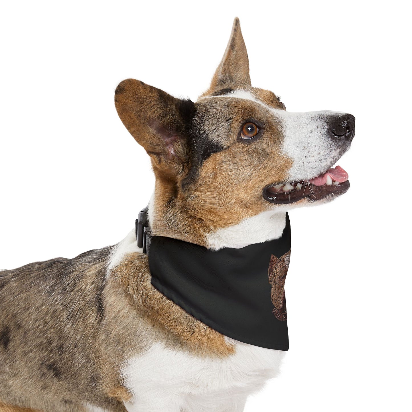 Stylish Pet Bandana Collar