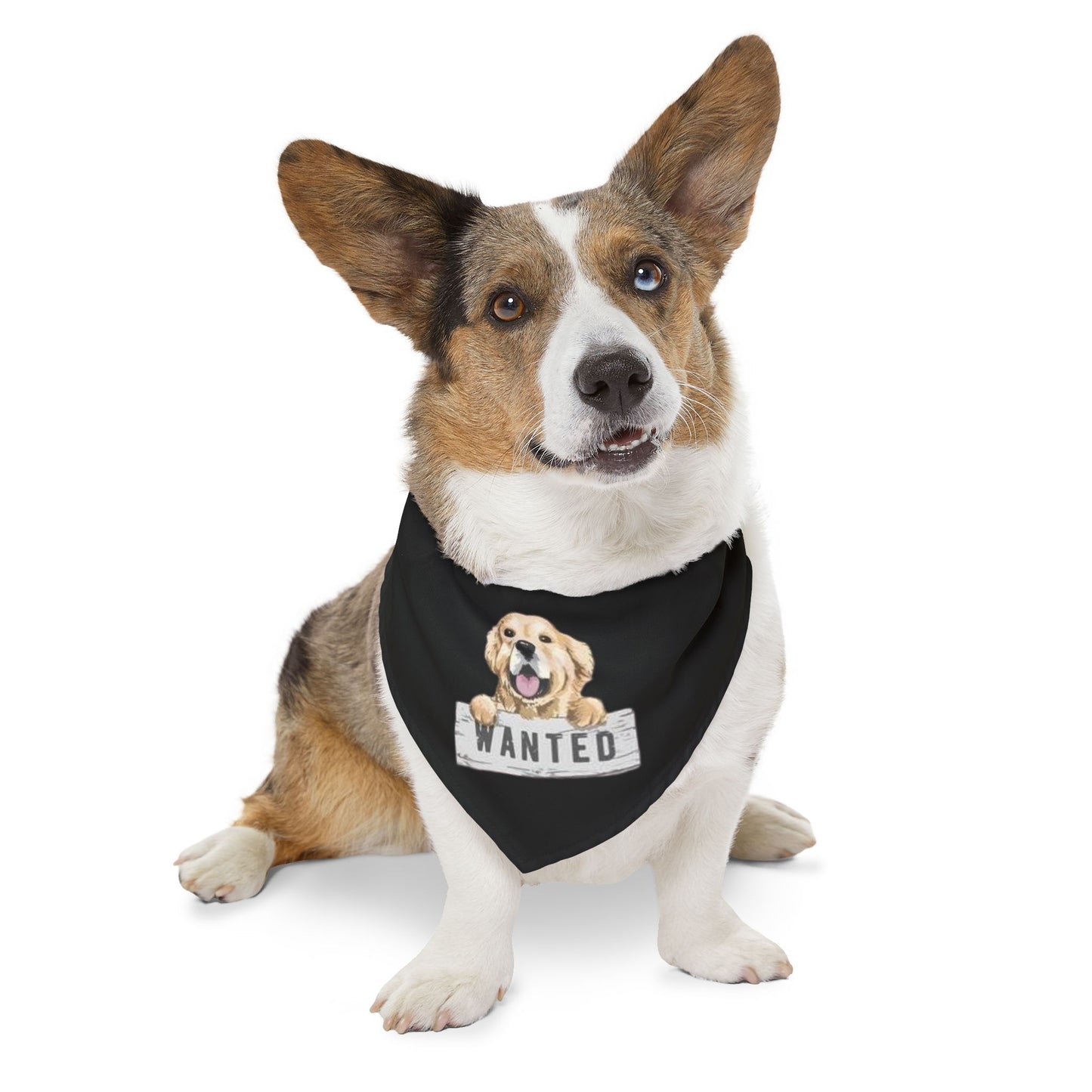 Adorable Pet Bandana Collar