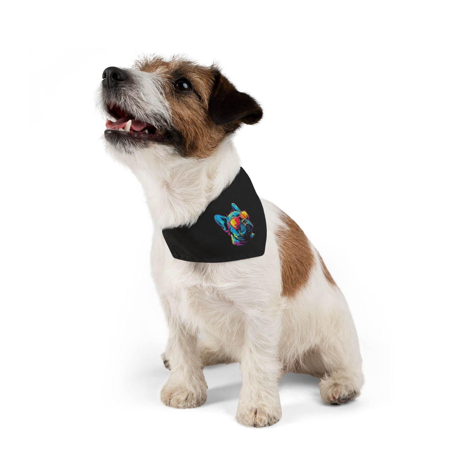 Colorful Pet Bandana Collar
