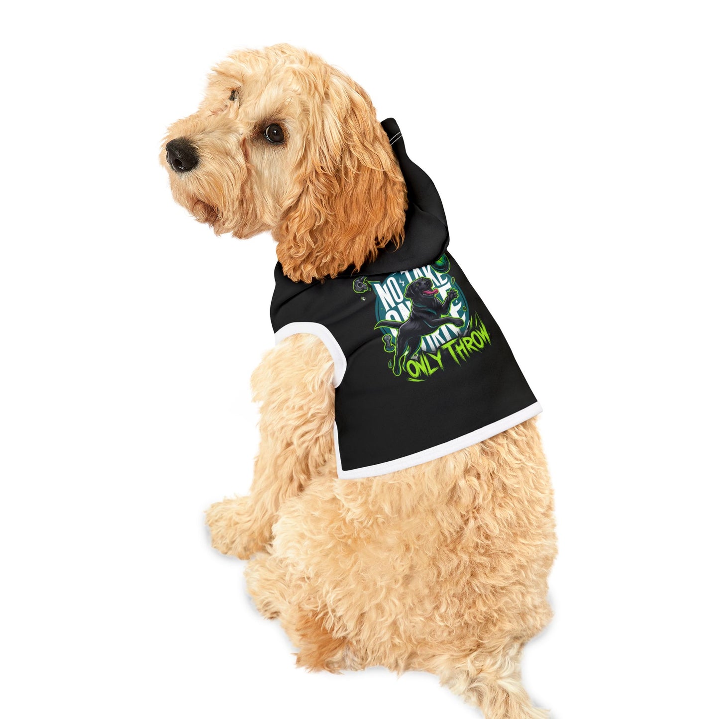 Cool Pet Hoodie with Fun Design