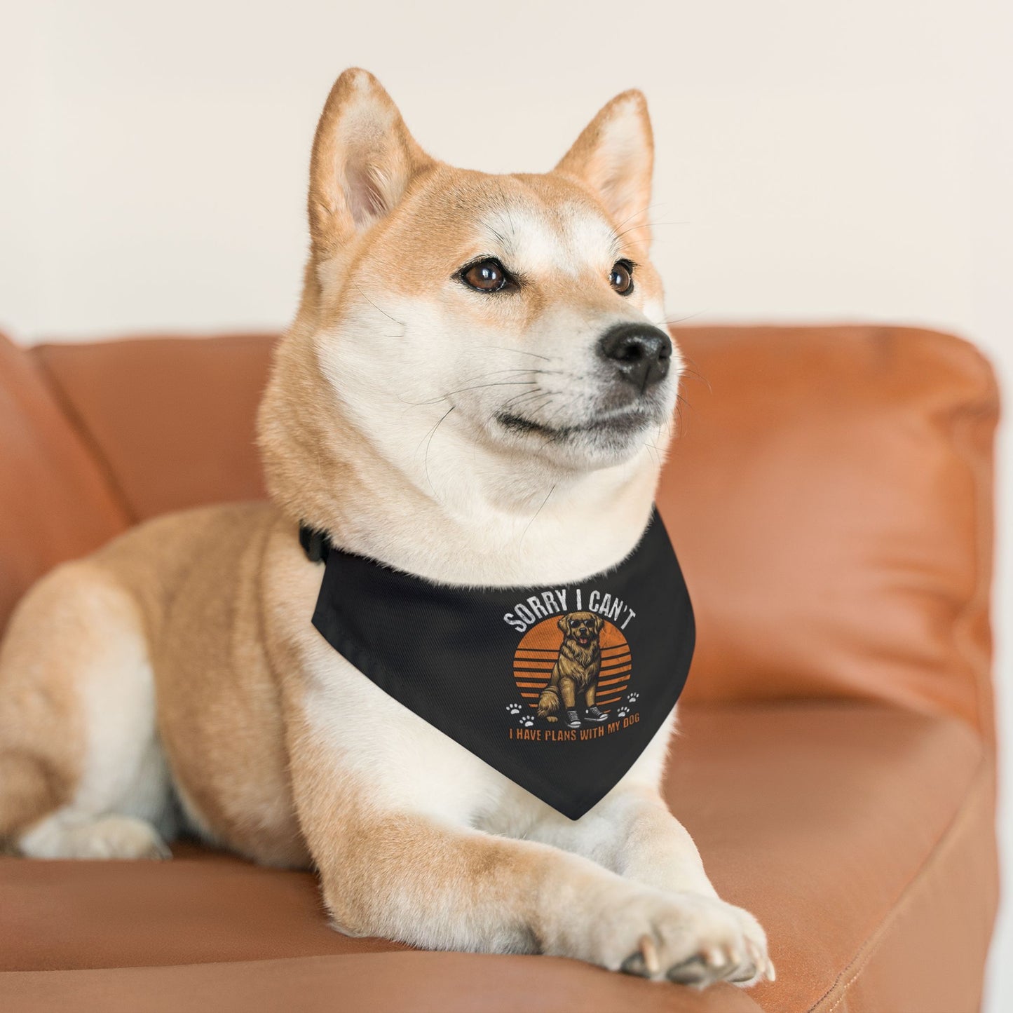 Sorry I Can't Pet Bandana Collar