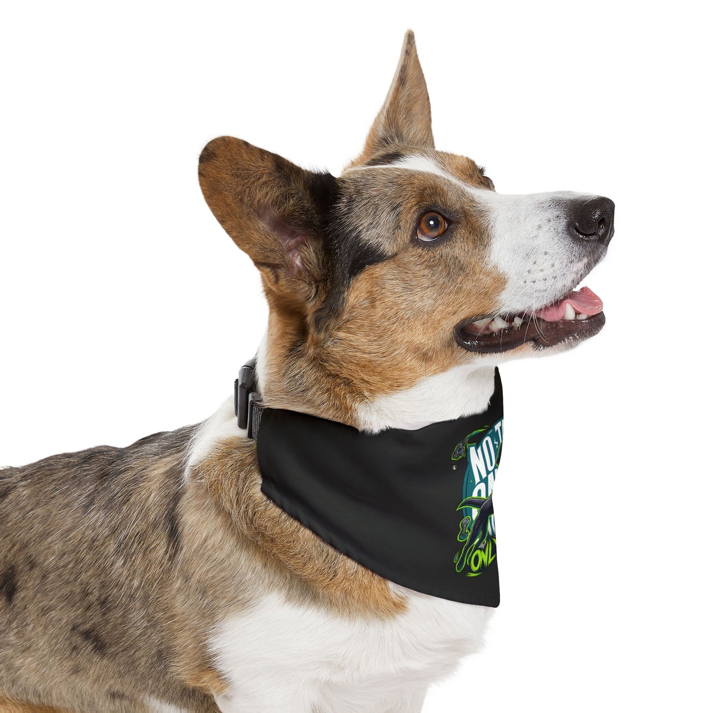 Cool Pet Bandana Collar
