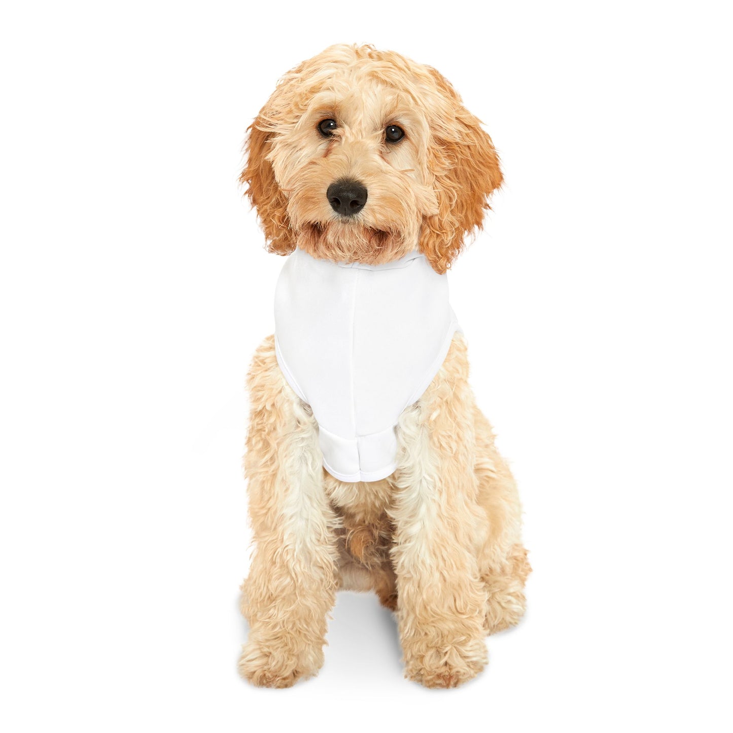 Wanted Pet Hoodie For Dogs