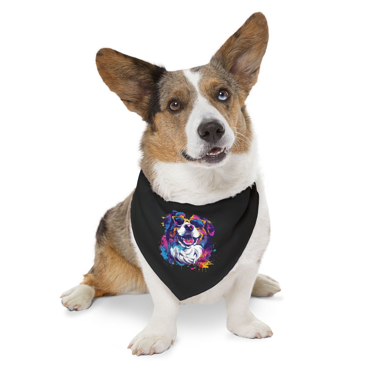 Colorful Dog Bandana Collar