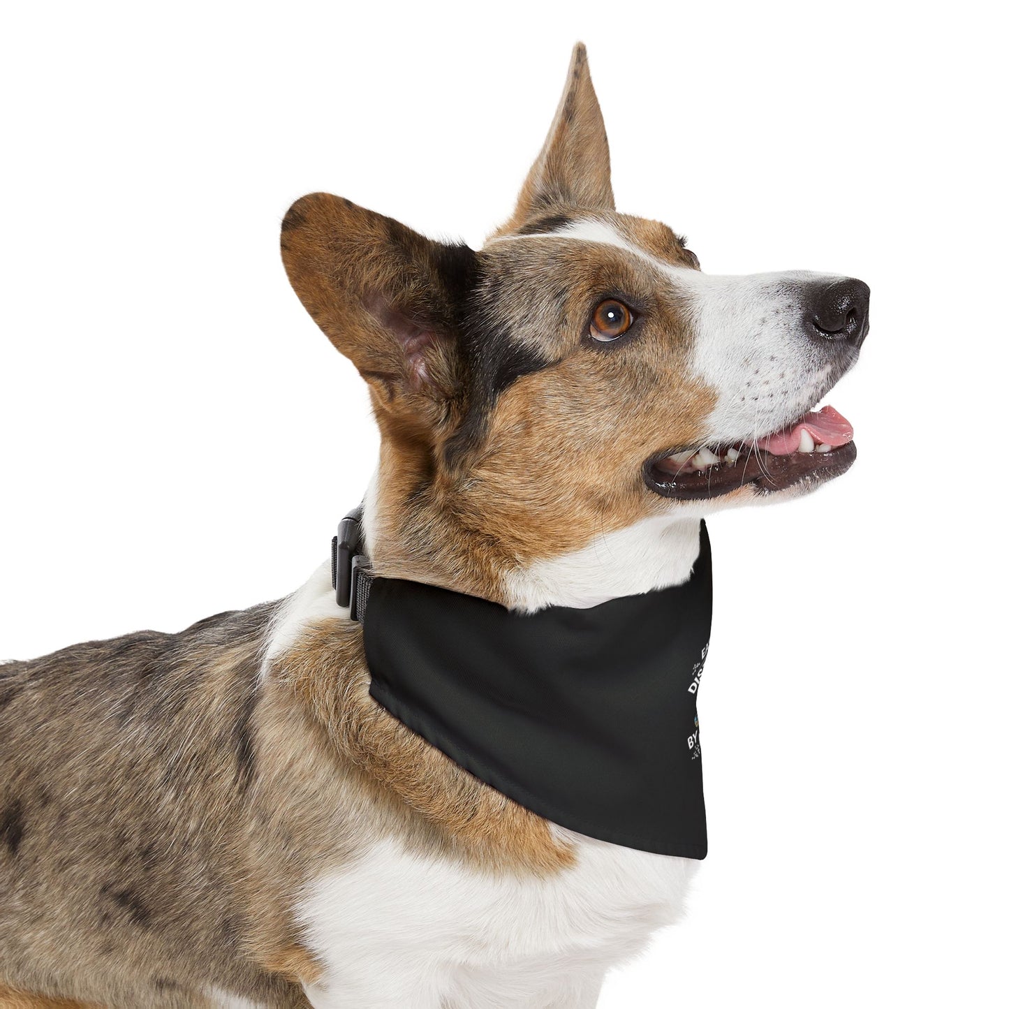 Stylish Pet Bandana Collar