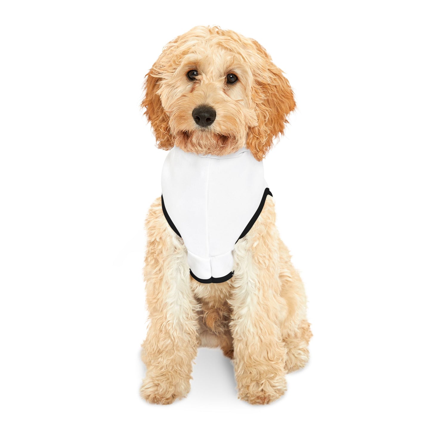 Vibrant Pet Hoodie