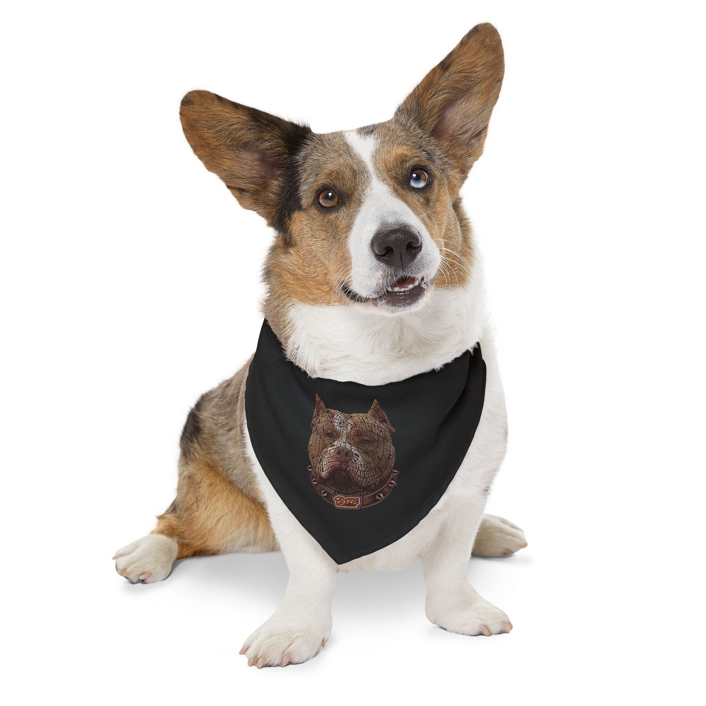 Stylish Pet Bandana Collar