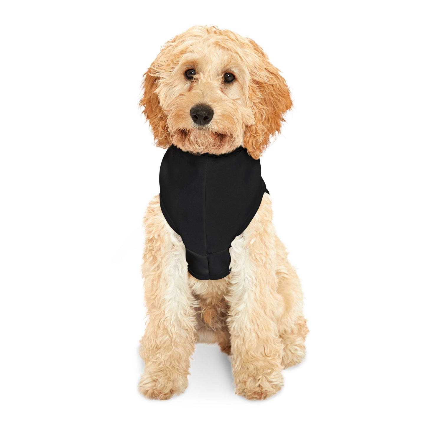 Stylish Pet Hoodie for Cool Dogs