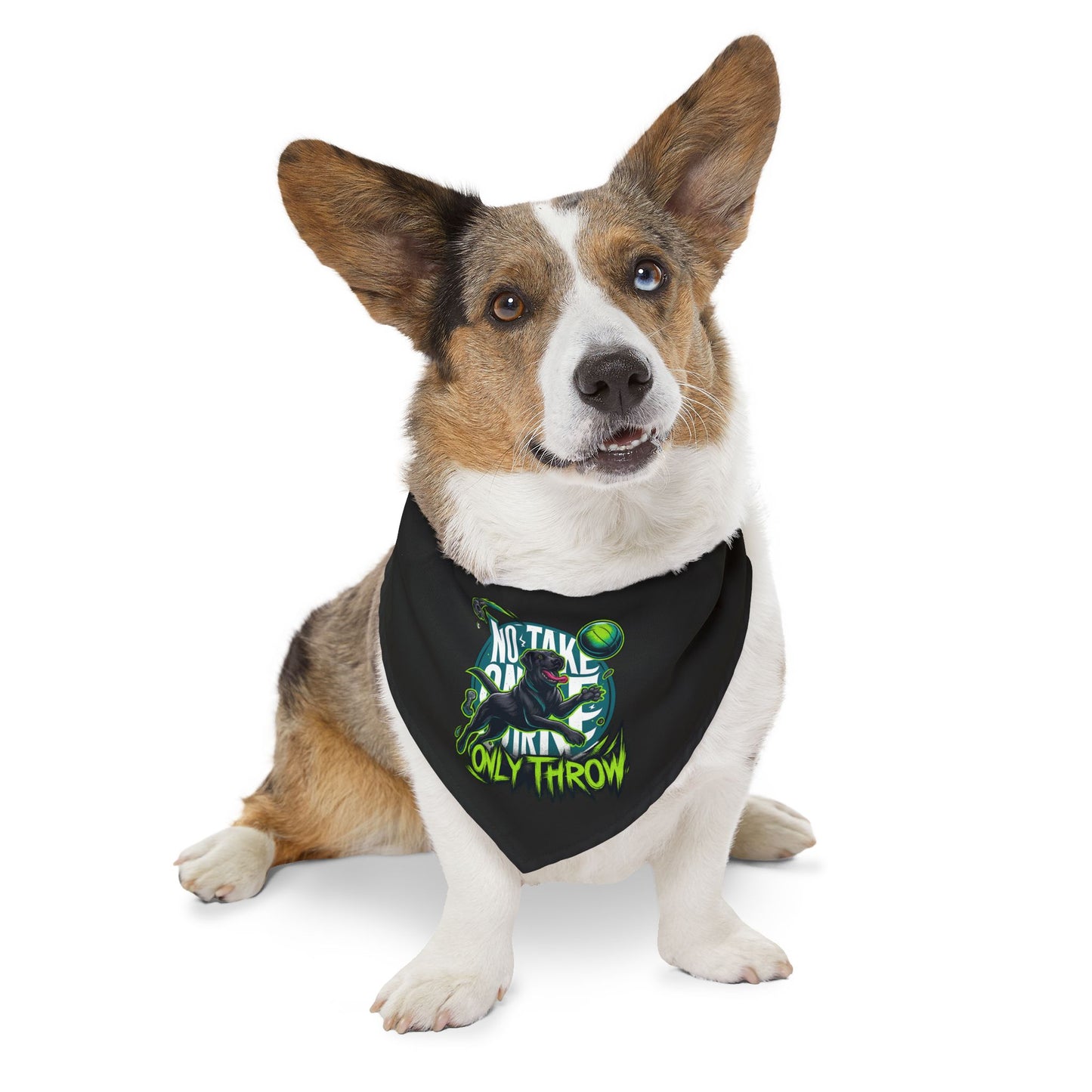 Cool Pet Bandana Collar