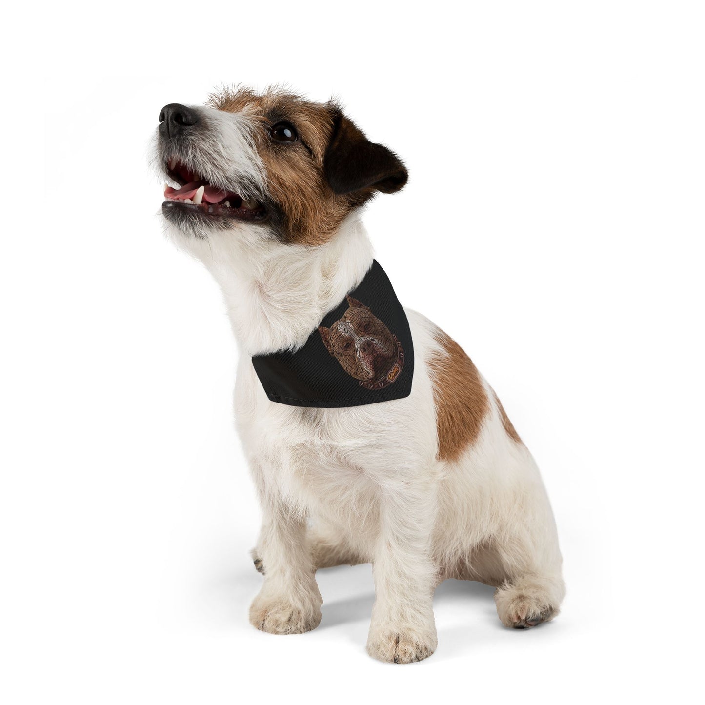 Stylish Pet Bandana Collar
