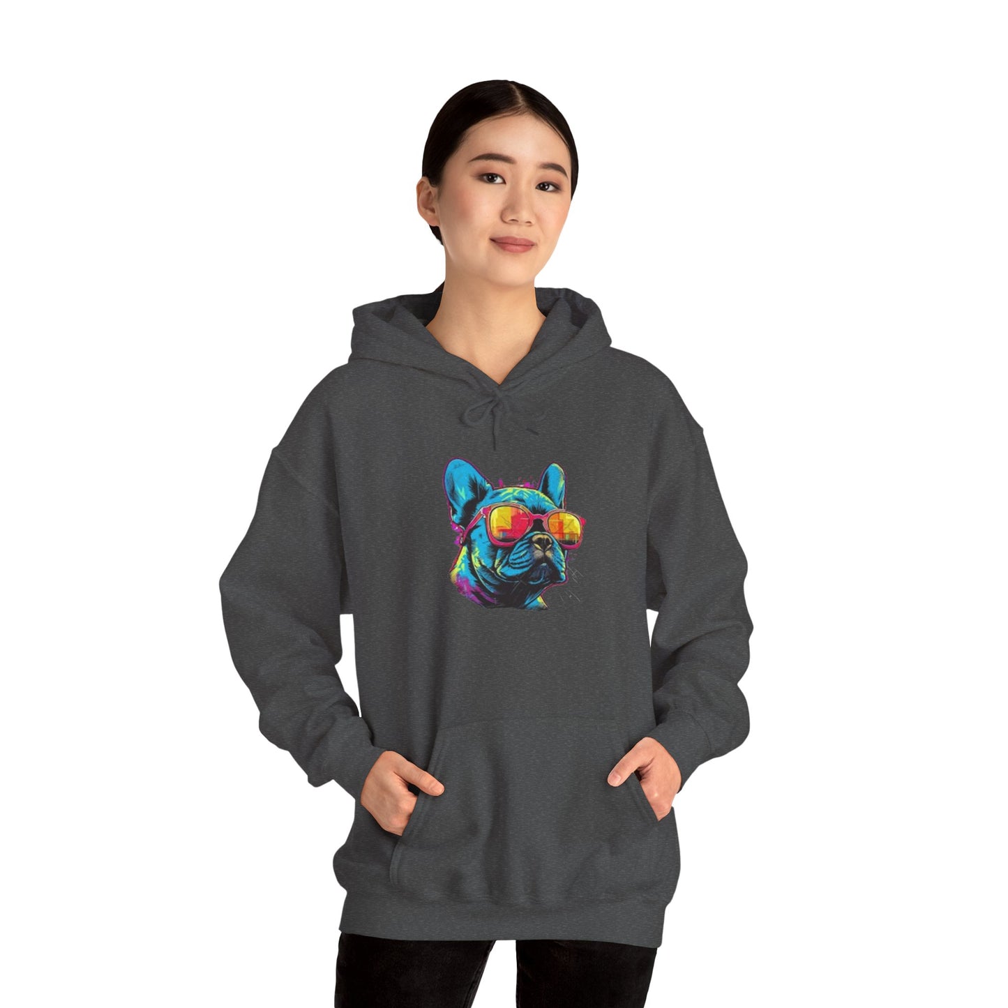 Colorful French Bulldog Hoodie