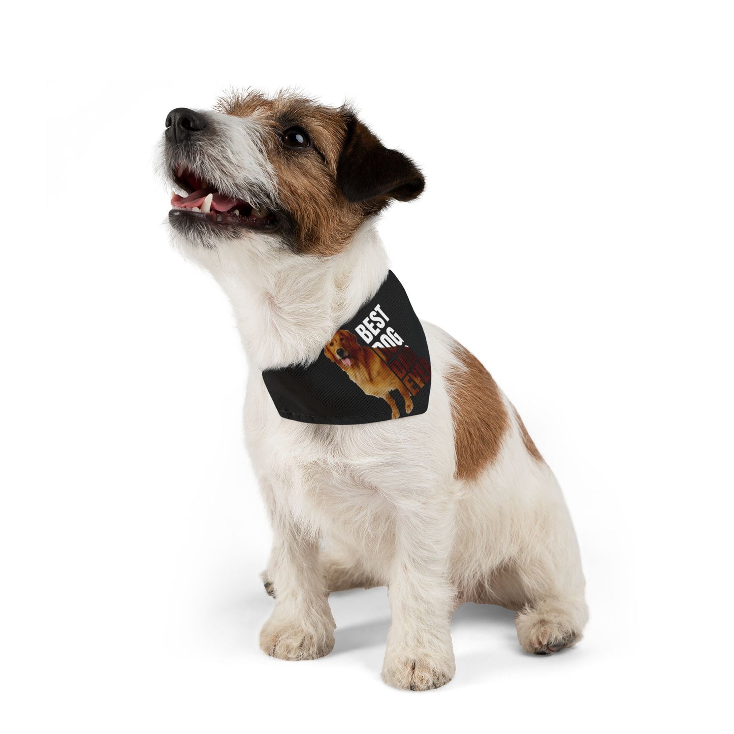 Cute Dog Bandana Collar
