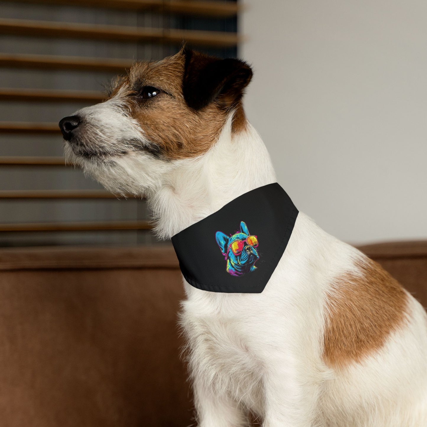 Colorful Pet Bandana Collar