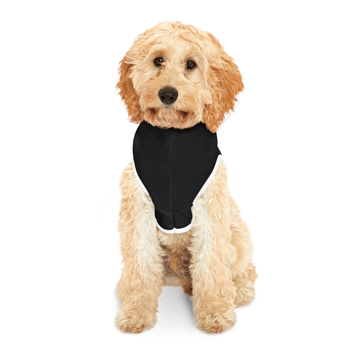Cool Pet Hoodie with Fun Design