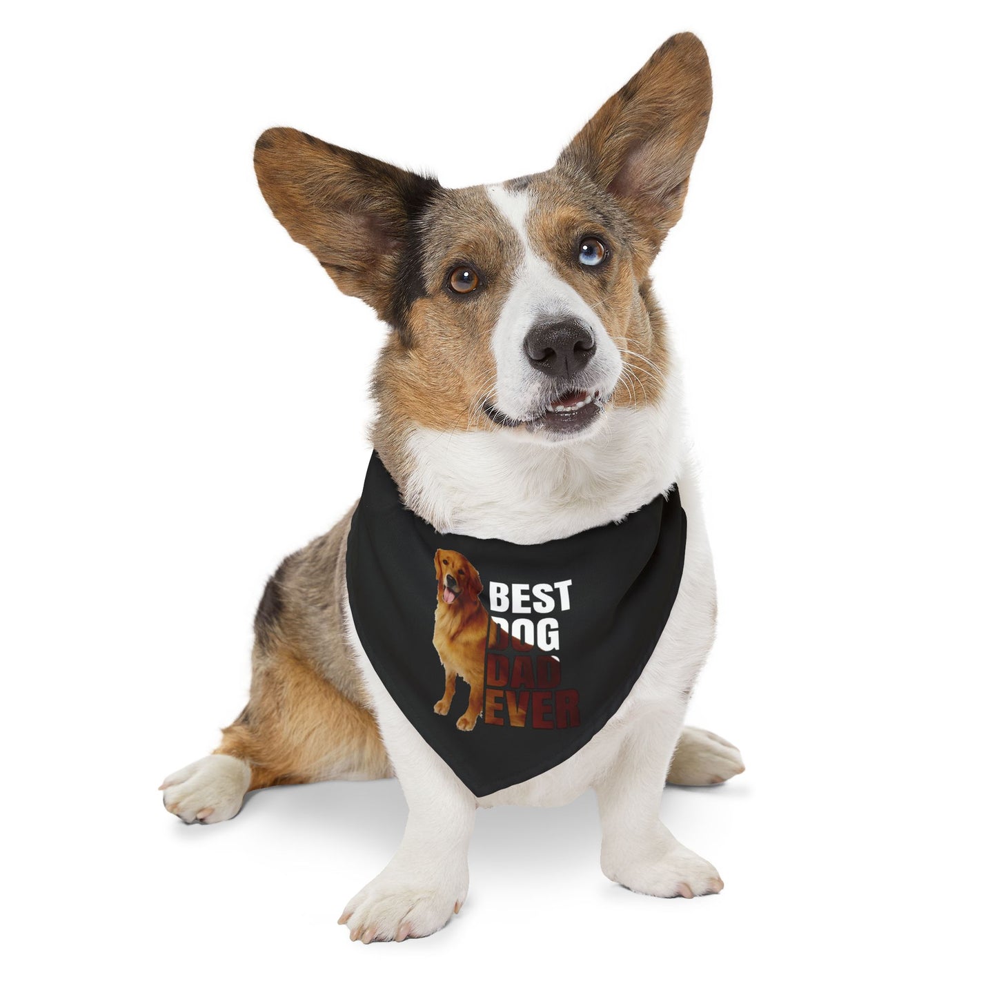 Cute Dog Bandana Collar
