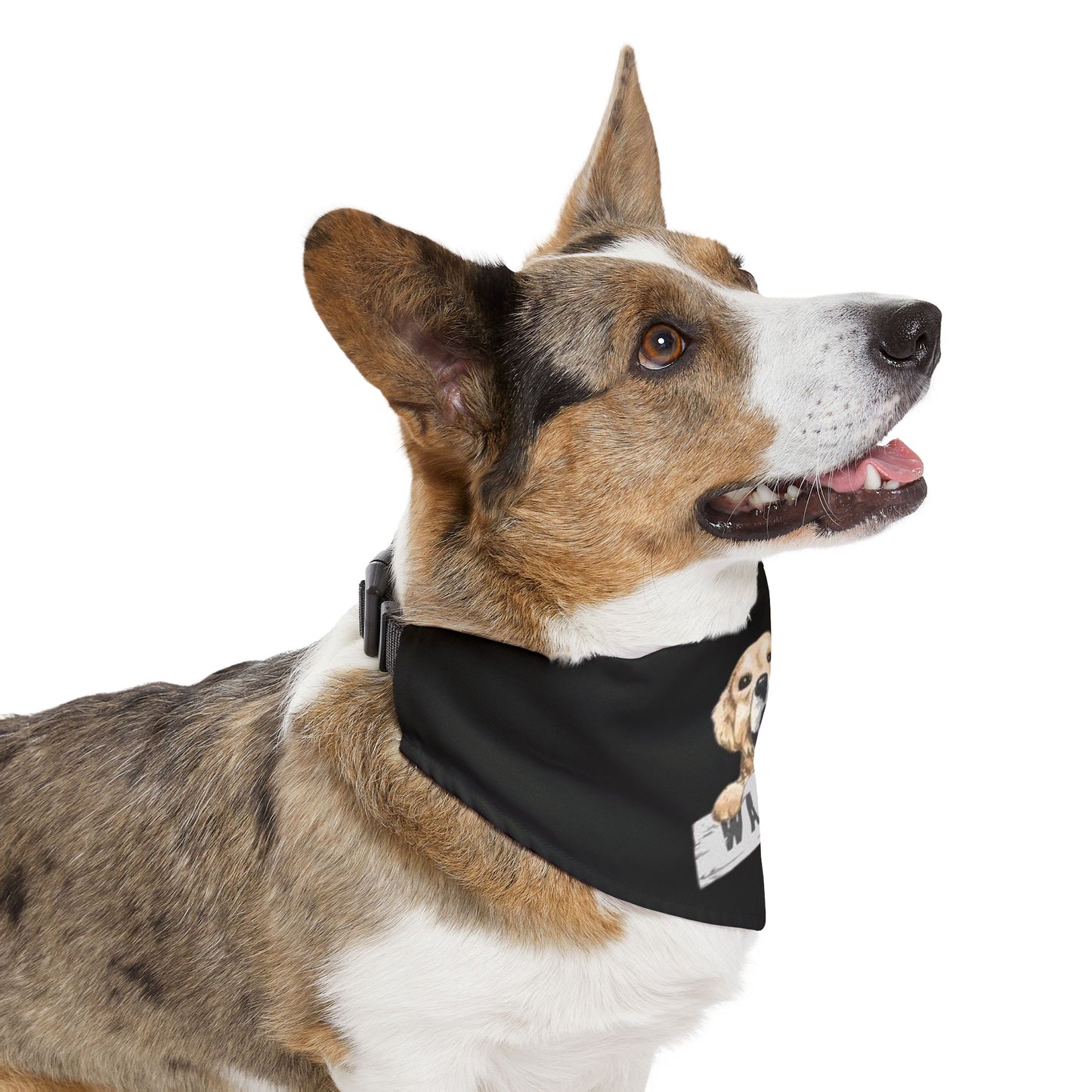 Adorable Pet Bandana Collar