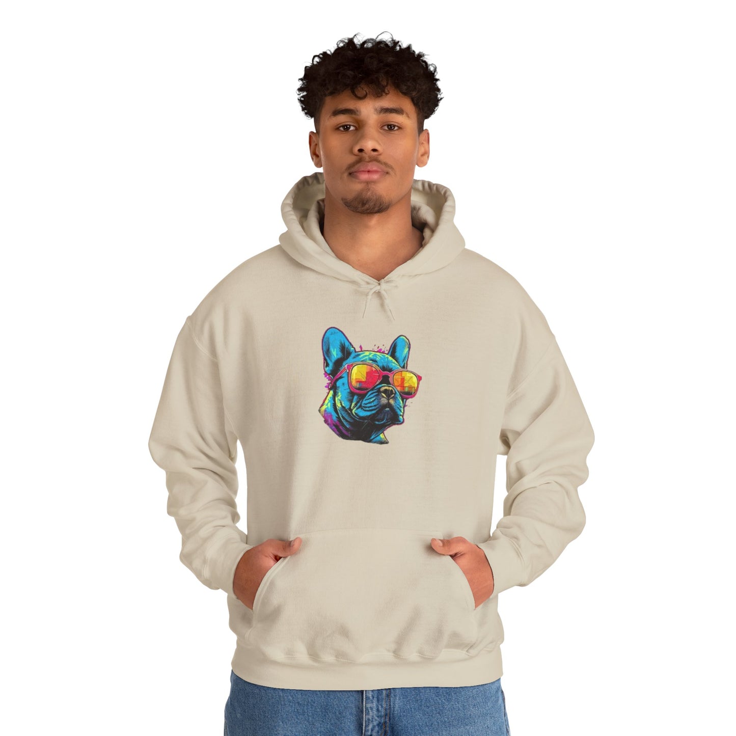 Colorful French Bulldog Hoodie