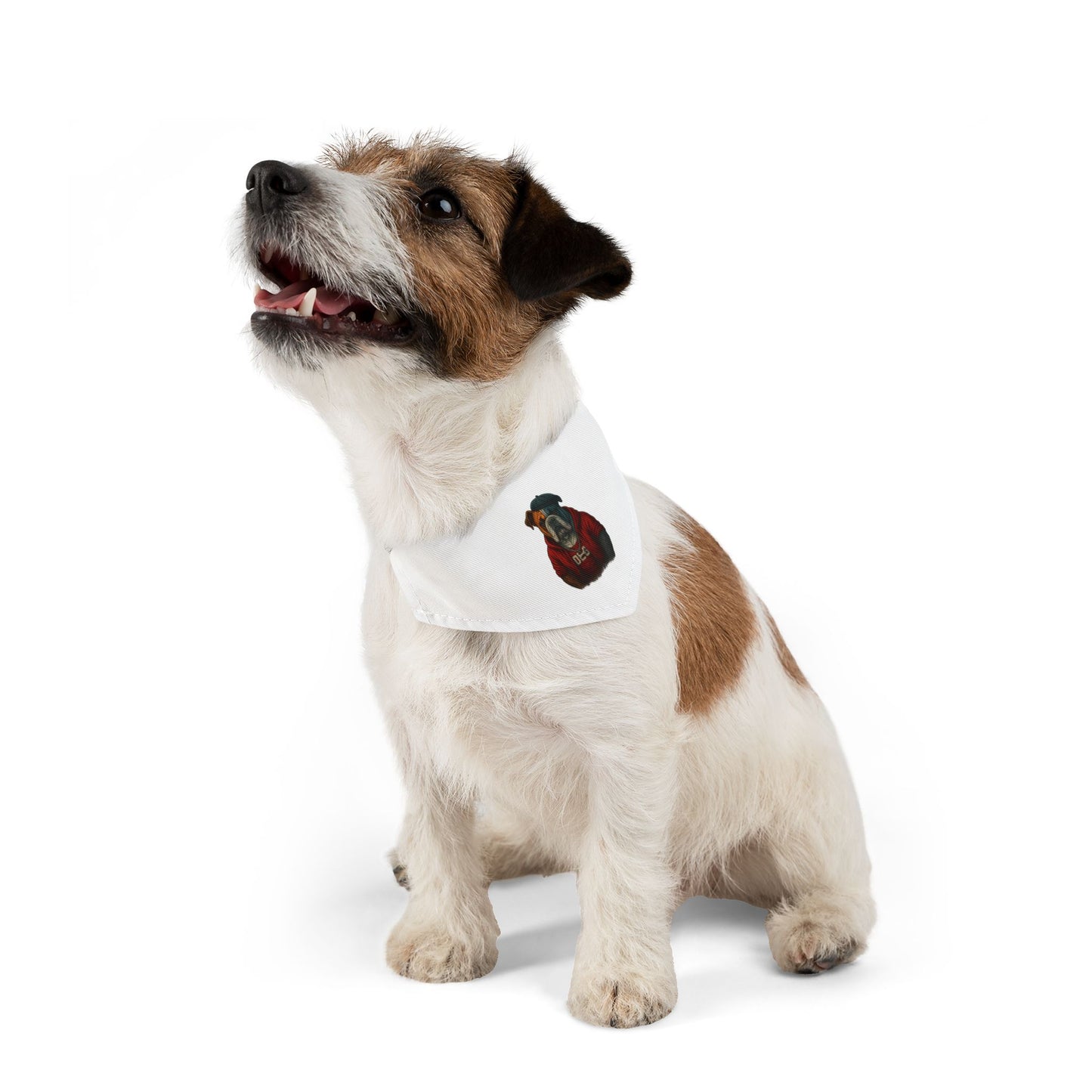 Stylish Pet Bandana Collar