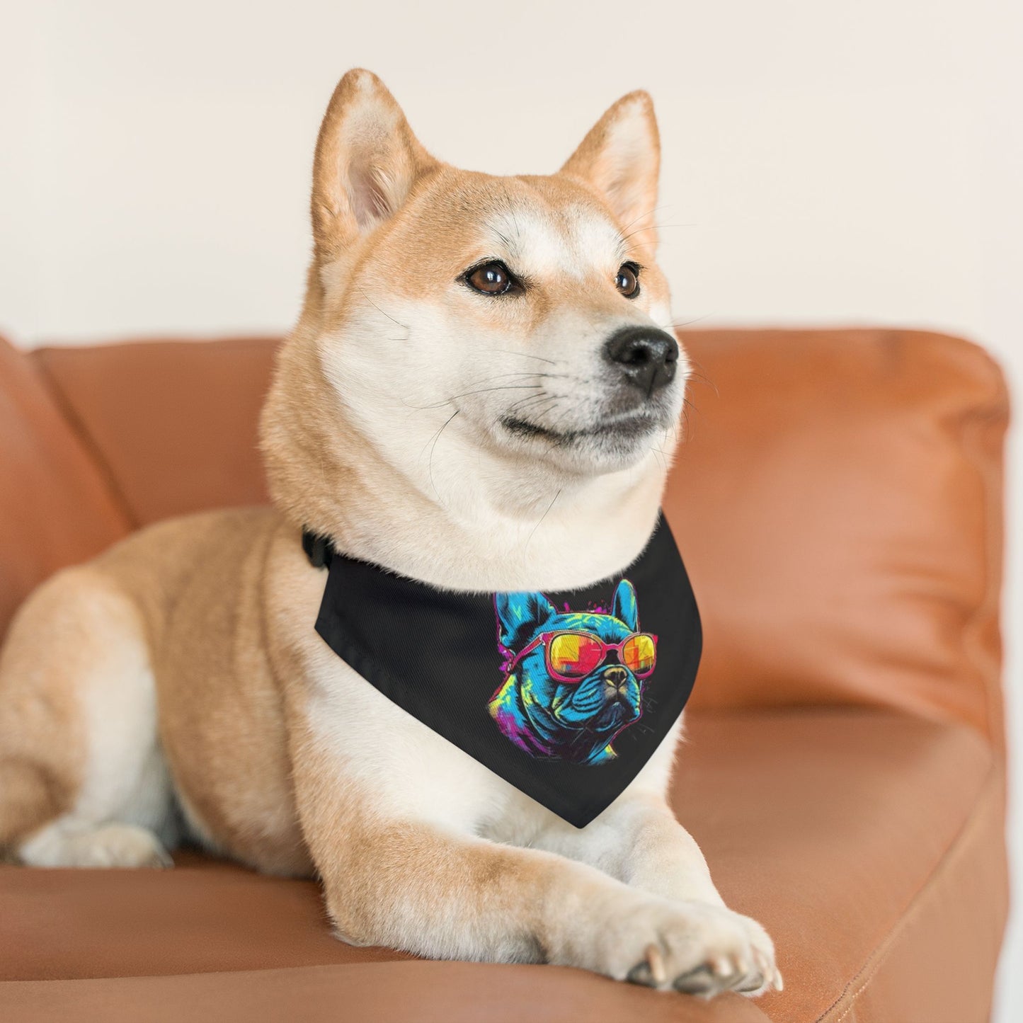 Colorful Pet Bandana Collar
