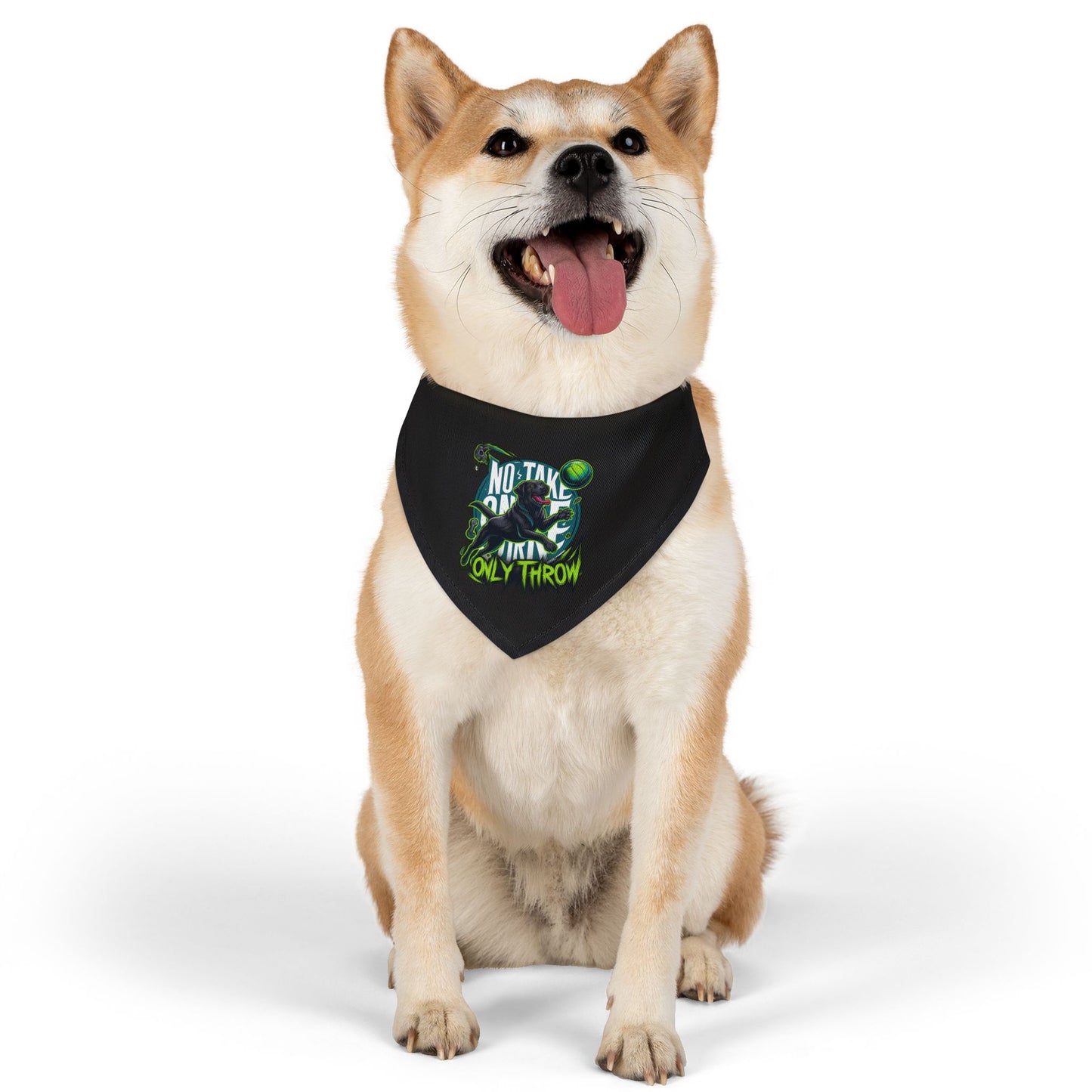 Cool Pet Bandana Collar