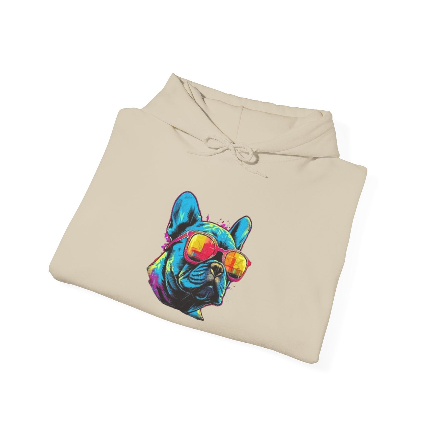 Colorful French Bulldog Hoodie