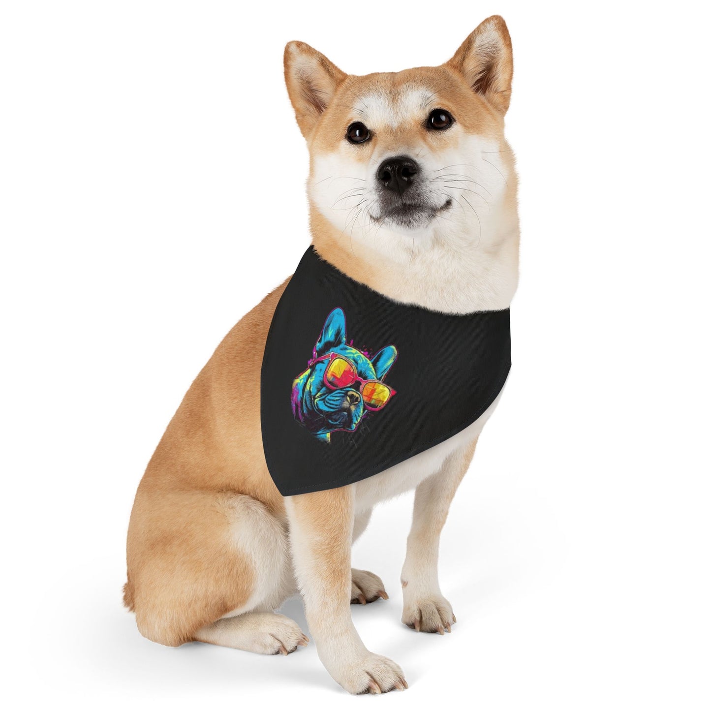 Colorful Pet Bandana Collar