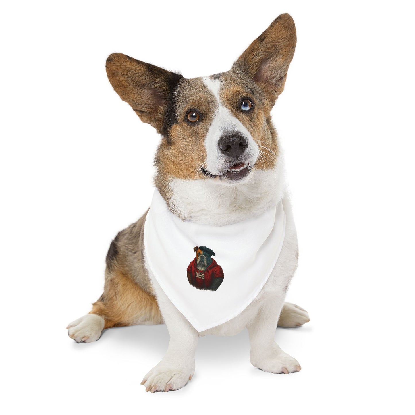 Stylish Pet Bandana Collar